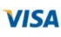 VISA Icon